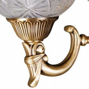 Бра MW-Light Афродита 2 317021902 в Соликамске - solikamsk.mebel24.online | фото 5