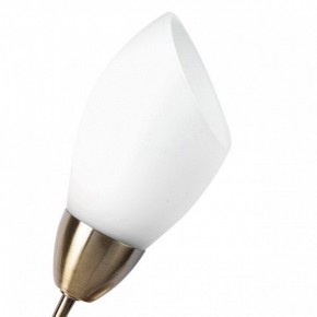 Бра MW-Light Нежность 7 356023001 в Соликамске - solikamsk.mebel24.online | фото 2