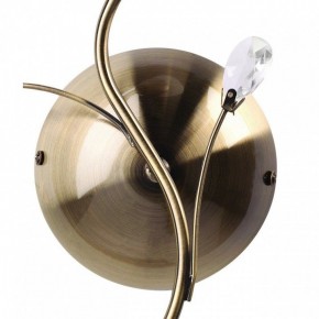 Бра MW-Light Нежность 7 356023001 в Соликамске - solikamsk.mebel24.online | фото 3