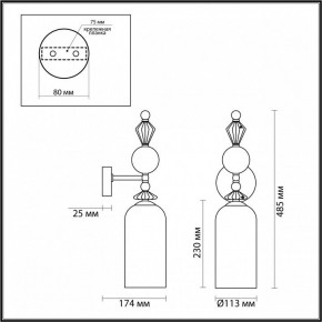 Бра Odeon Light Bizet 4893/1WA в Соликамске - solikamsk.mebel24.online | фото 4