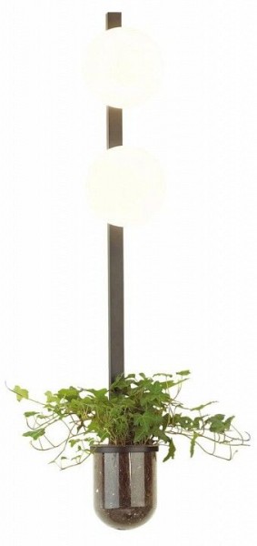 Бра Odeon Light Flower 4681/2WA в Соликамске - solikamsk.mebel24.online | фото 3