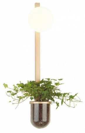Бра Odeon Light Flower 4682/1WB в Соликамске - solikamsk.mebel24.online | фото 3