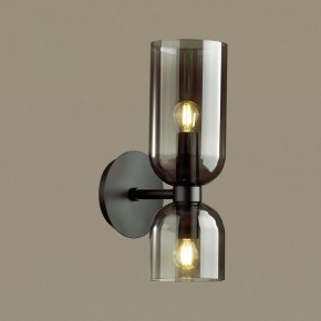 Бра Odeon Light Orinoco 4804/2W в Соликамске - solikamsk.mebel24.online | фото 2
