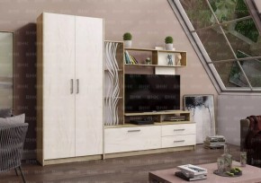 ДАРЬЯ Гостиная (Крафт серый/Крафт белый) в Соликамске - solikamsk.mebel24.online | фото