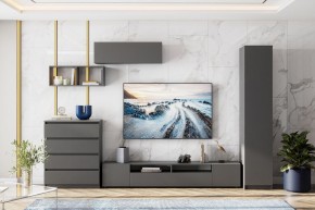 ДЕНВЕР Пенал (Графит серый) в Соликамске - solikamsk.mebel24.online | фото 4