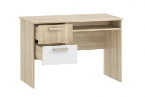 Детская Фанк Стол для компьютера НМ 009.19-05 М2 в Соликамске - solikamsk.mebel24.online | фото 2