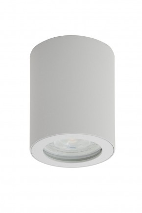 DK3007-WH Накладной светильник влагозащ., IP 44, 15 Вт, GU10, белый, алюминий в Соликамске - solikamsk.mebel24.online | фото 1