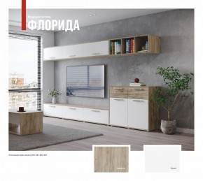 ФЛОРИДА Гостиная (модульная) дуб серый/белый в Соликамске - solikamsk.mebel24.online | фото