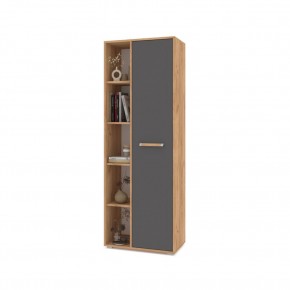 ФЛОРИДА Гостиная (модульная) дуб золотой/графит в Соликамске - solikamsk.mebel24.online | фото 2