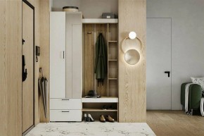 Гарнитур для прихожей Торонто в Соликамске - solikamsk.mebel24.online | фото 5