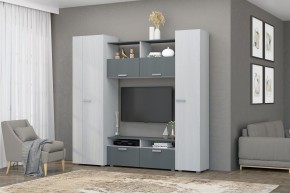 Гостиная Эмми (Анкор светлый/Графит) в Соликамске - solikamsk.mebel24.online | фото