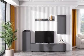 Гостиная МГС 10 (Графит) в Соликамске - solikamsk.mebel24.online | фото 1