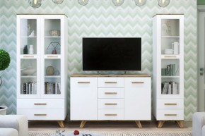 Гостиная Вега Скандинавия (комплект 1) в Соликамске - solikamsk.mebel24.online | фото
