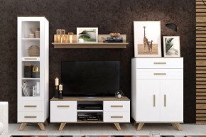 Гостиная Вега Скандинавия (комплект 2) в Соликамске - solikamsk.mebel24.online | фото