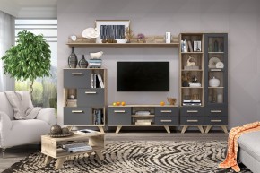 Гостиная Вега Скандинавия (комплект 6) в Соликамске - solikamsk.mebel24.online | фото 2