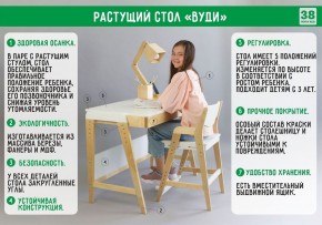 Комплект растущий стол и стул с чехлом 38 попугаев «Вуди» (Серый, Береза, Салют) в Соликамске - solikamsk.mebel24.online | фото