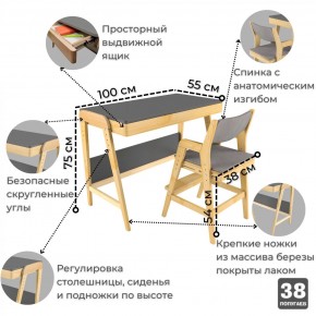 Комплект растущий стол и стул с чехлом 38 попугаев «Вуди» (Серый, Береза, Серый) в Соликамске - solikamsk.mebel24.online | фото