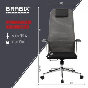 Кресло офисное BRABIX PREMIUM "Ultimate EX-801" хром, плотная двойная сетка Х2, черное/серое, 532918 в Соликамске - solikamsk.mebel24.online | фото 5