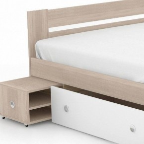 Кровать двуспальная Стелла 160 в Соликамске - solikamsk.mebel24.online | фото 3