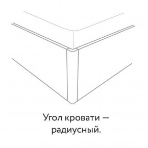 Кровать "Сандра" БЕЗ основания 1600х2000 в Соликамске - solikamsk.mebel24.online | фото 3