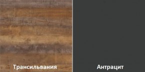 Кухонный гарнитур угловой Трансильвания 2400x1600 мм (Стол. 38 мм) в Соликамске - solikamsk.mebel24.online | фото 3