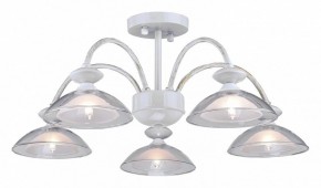 Люстра на штанге Arti Lampadari Noventa Noventa E 1.1.5 W в Соликамске - solikamsk.mebel24.online | фото