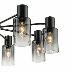 Люстра на штанге Escada Diversity 2120/8P Black в Соликамске - solikamsk.mebel24.online | фото 5
