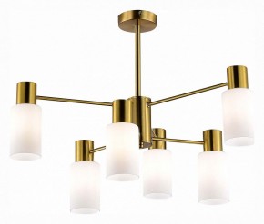 Люстра на штанге EVOLUCE Gessi SLE1139-302-06 в Соликамске - solikamsk.mebel24.online | фото 2