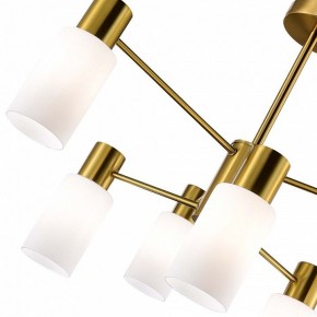 Люстра на штанге EVOLUCE Gessi SLE1139-302-06 в Соликамске - solikamsk.mebel24.online | фото 3