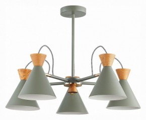 Люстра на штанге EVOLUCE Modica SLE125112-05 в Соликамске - solikamsk.mebel24.online | фото 1