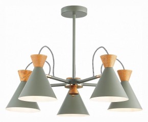 Люстра на штанге EVOLUCE Modica SLE125112-05 в Соликамске - solikamsk.mebel24.online | фото 2