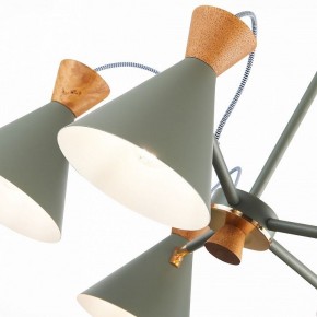 Люстра на штанге EVOLUCE Modica SLE125112-05 в Соликамске - solikamsk.mebel24.online | фото 3