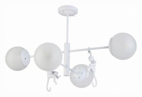 Люстра на штанге EVOLUCE Tenato SLE115102-04 в Соликамске - solikamsk.mebel24.online | фото 2