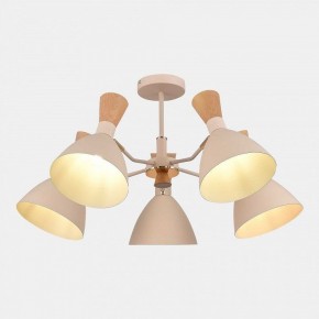 Люстра на штанге EVOLUCE VISTA SLE1256-502-05 в Соликамске - solikamsk.mebel24.online | фото 5
