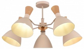 Люстра на штанге EVOLUCE VISTA SLE1256-502-05 в Соликамске - solikamsk.mebel24.online | фото 6