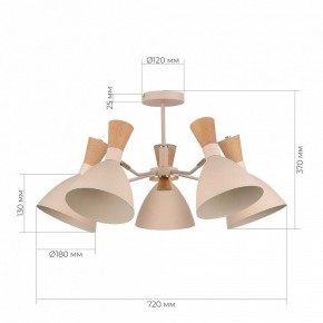 Люстра на штанге EVOLUCE VISTA SLE1256-502-05 в Соликамске - solikamsk.mebel24.online | фото 8