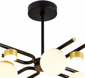 Люстра на штанге Favourite Soffiato 3048-8P в Соликамске - solikamsk.mebel24.online | фото 4