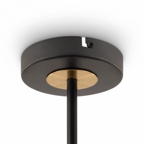 Люстра на штанге Freya Hats FR5370CL-04B в Соликамске - solikamsk.mebel24.online | фото 6