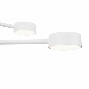 Люстра на штанге Freya Tactic FR5363CL-06W в Соликамске - solikamsk.mebel24.online | фото 6