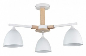 Люстра на штанге Lumion Colange 8095/3C в Соликамске - solikamsk.mebel24.online | фото
