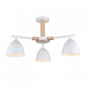 Люстра на штанге Lumion Colange 8095/3C в Соликамске - solikamsk.mebel24.online | фото 2