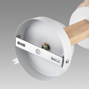 Люстра на штанге Lumion Colange 8095/3C в Соликамске - solikamsk.mebel24.online | фото 6