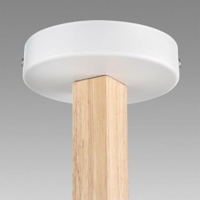 Люстра на штанге Lumion Colange 8095/3C в Соликамске - solikamsk.mebel24.online | фото 9