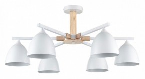 Люстра на штанге Lumion Colange 8095/6C в Соликамске - solikamsk.mebel24.online | фото