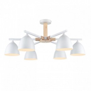 Люстра на штанге Lumion Colange 8095/6C в Соликамске - solikamsk.mebel24.online | фото 2