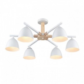 Люстра на штанге Lumion Colange 8095/6C в Соликамске - solikamsk.mebel24.online | фото 3