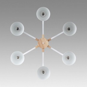 Люстра на штанге Lumion Colange 8095/6C в Соликамске - solikamsk.mebel24.online | фото 4