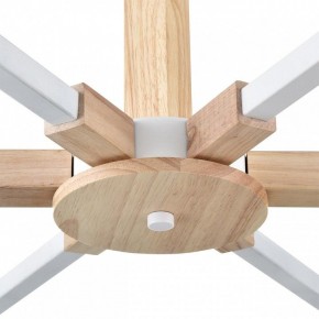 Люстра на штанге Lumion Colange 8095/6C в Соликамске - solikamsk.mebel24.online | фото 7