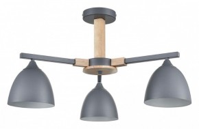 Люстра на штанге Lumion Colange 8096/3C в Соликамске - solikamsk.mebel24.online | фото