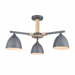 Люстра на штанге Lumion Colange 8096/3C в Соликамске - solikamsk.mebel24.online | фото 2